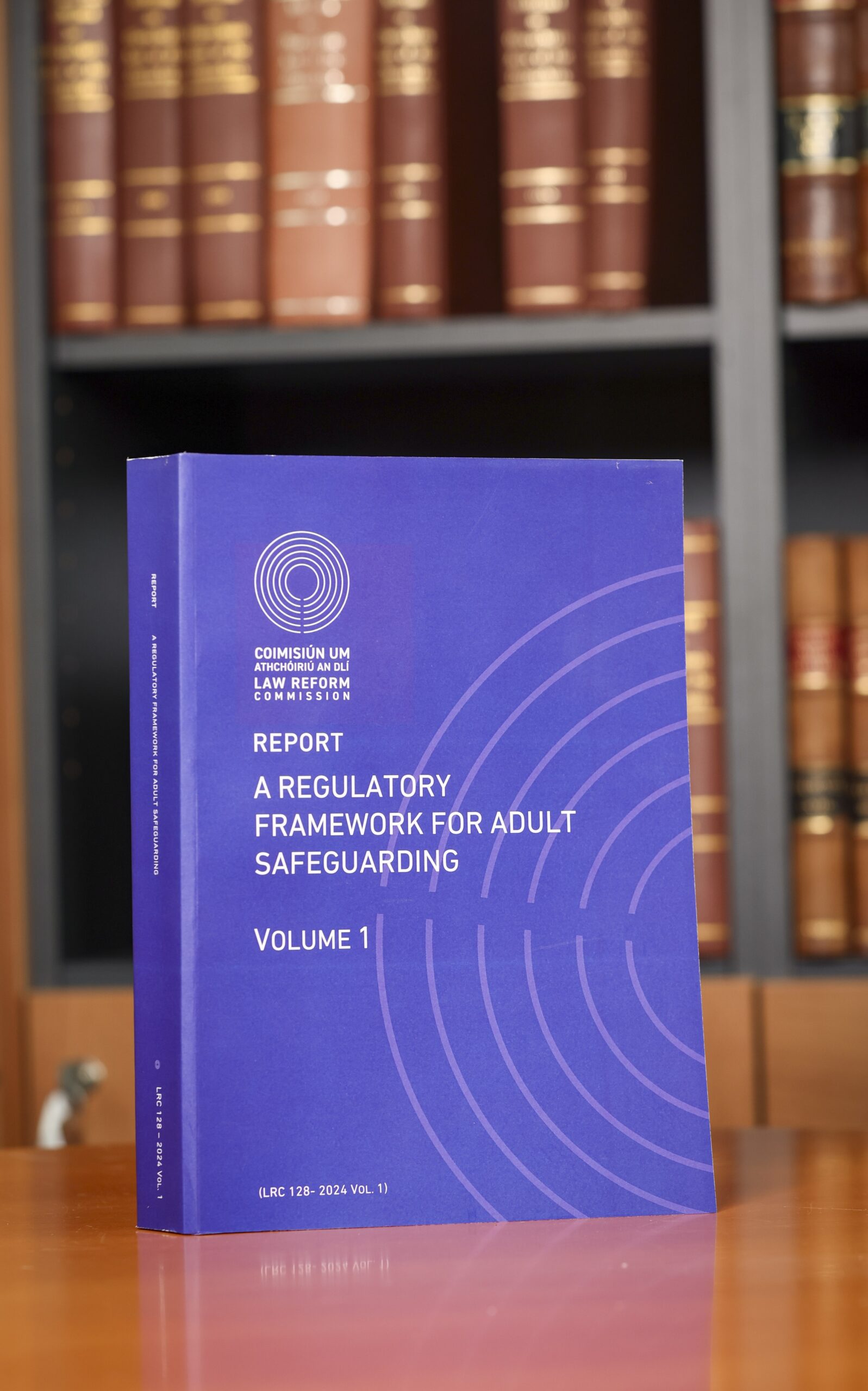 Current Projects - Law Reform